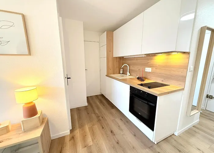 Confort 4-6 Pers Agde,animaux Ok, Richelieu A 150m, Piscine, Parking, Aqualand -