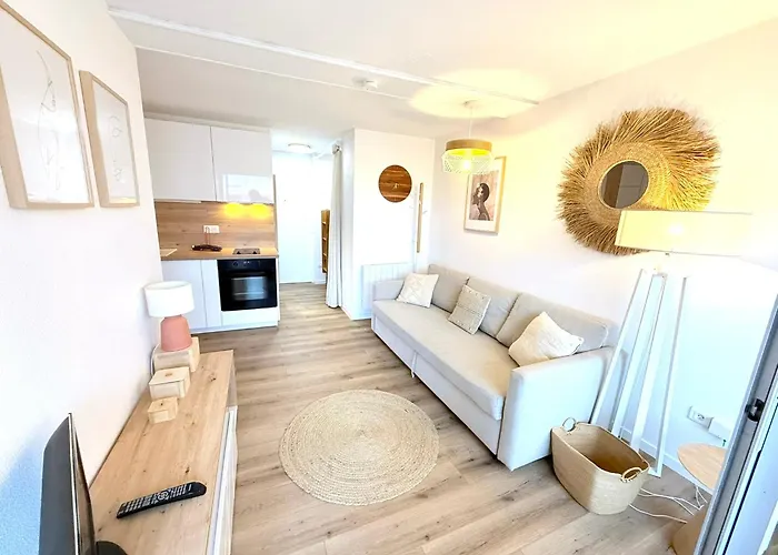 Confort 4-6 Pers Agde,animaux Ok, Richelieu A 150m, Piscine, Parking, Aqualand - アグド